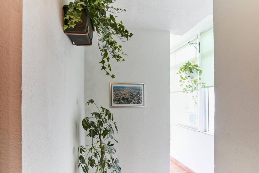 Ferienwohnung Original Y Coqueto Apartamento Junto A Plaza Mayor Madrid Exterior foto
